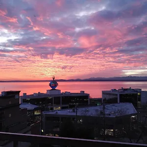  Apartment Top Floor Water View Oasis Near Space Needle & Cruise